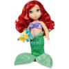 Ariel
