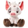 Pua
