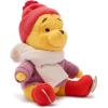 imageDisney Store Official Winnie The Pooh Ice Skating Plush  Cute Stuffed Animal for Winter Fun  The Perfect Plushie Inspired by The Many Adventures of Winnie The PoohWinnie the Pooh